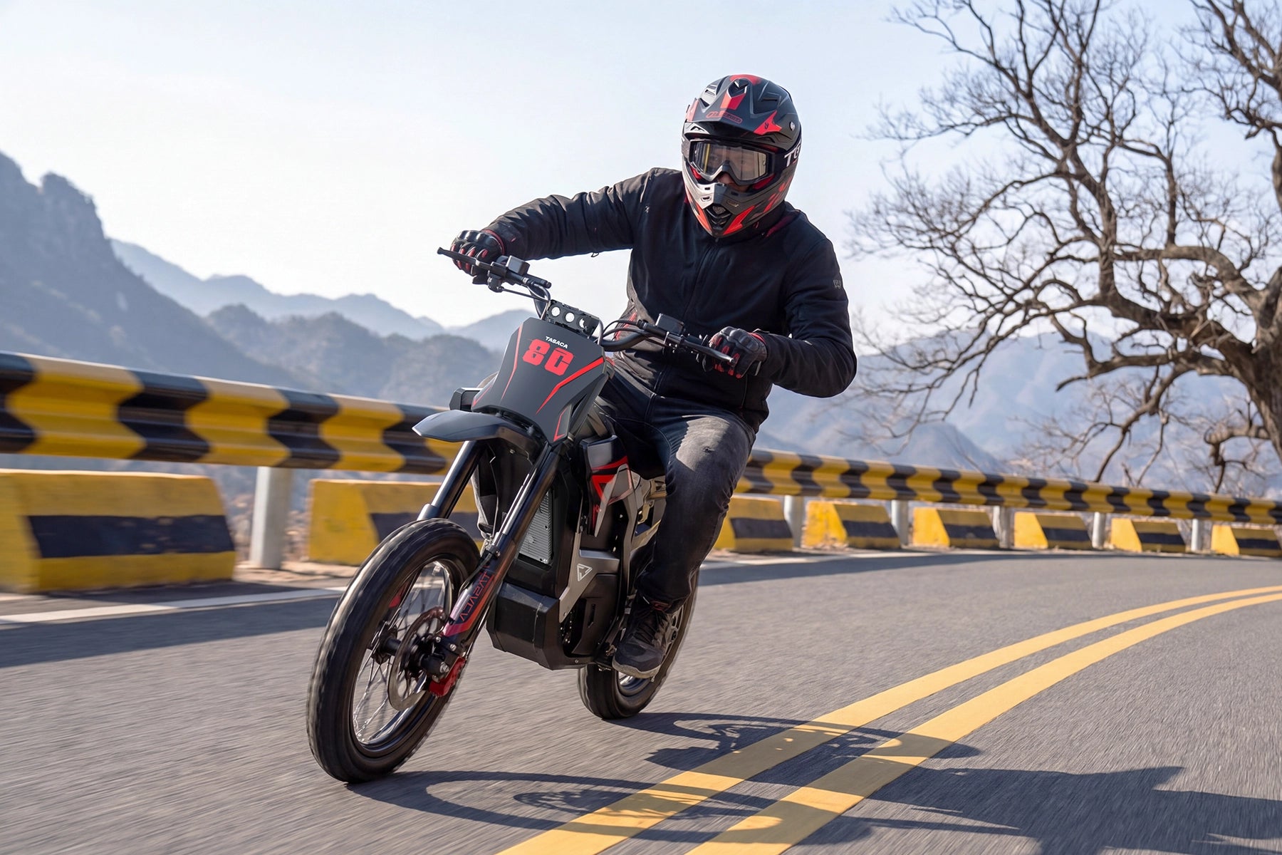 T500-V58 Electric Dirt Bike