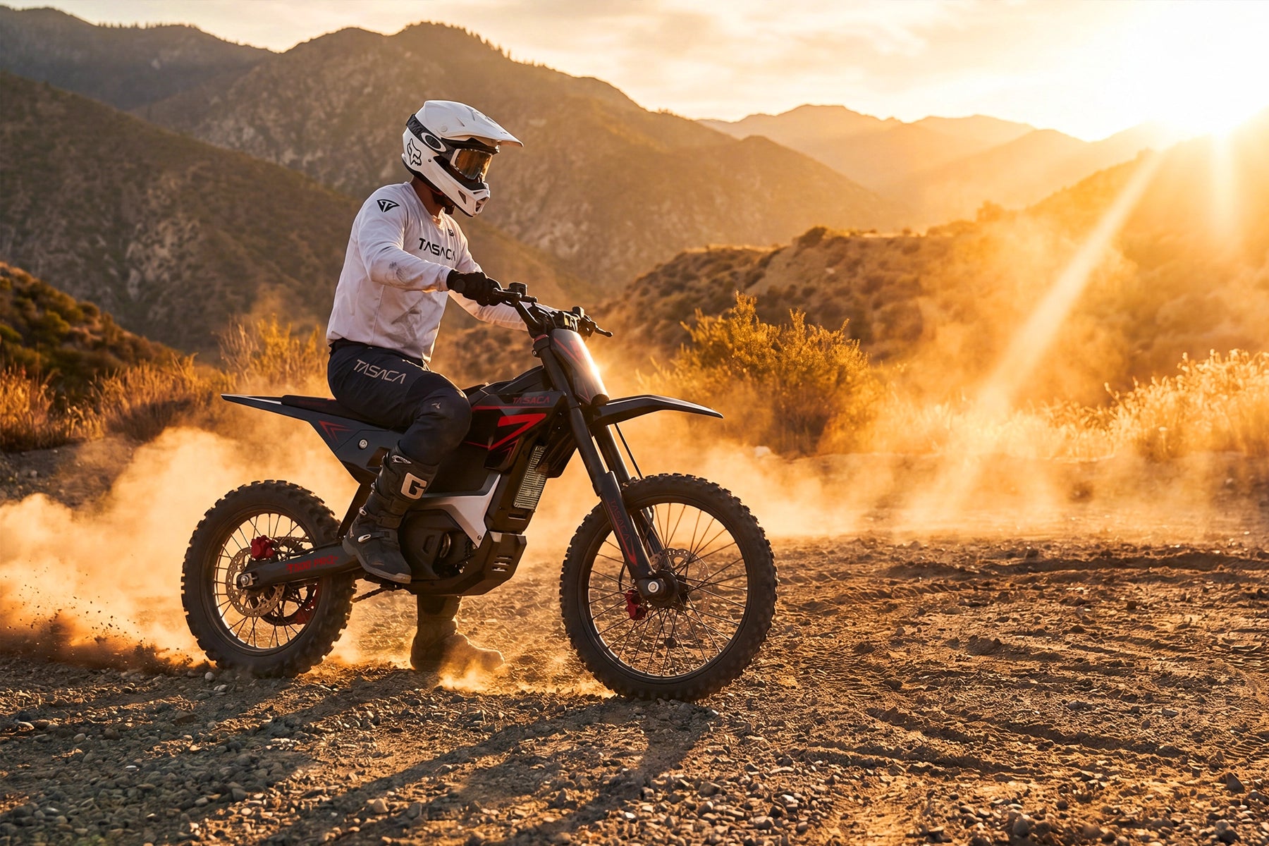 T500 Pro Electric Dirt Bike