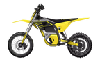 T500-V58 Electric Dirt Bike