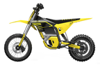 T500-V58 Electric Dirt Bike