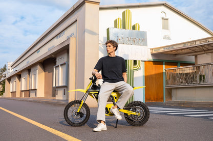T500-V58 Electric Dirt Bike