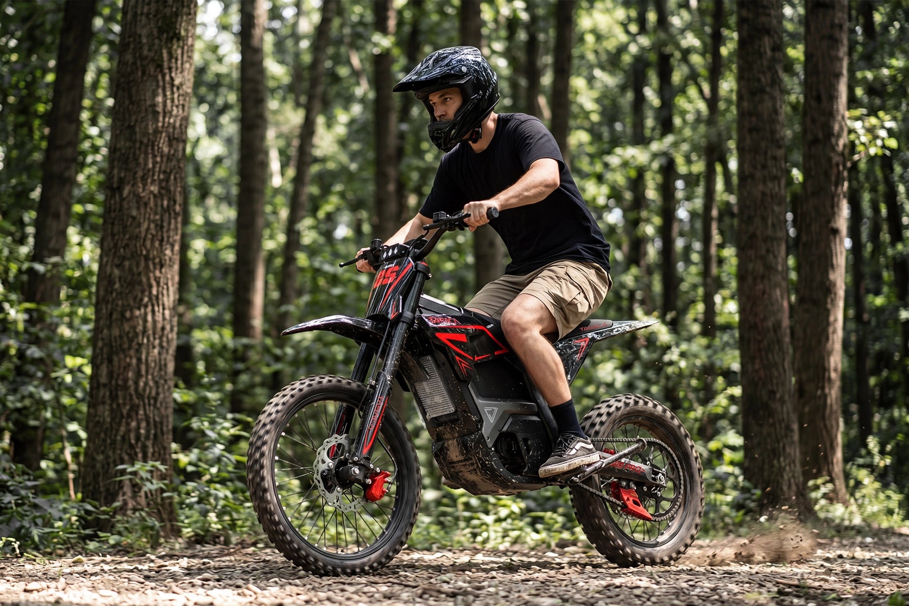 T500 Pro Electric Dirt Bike