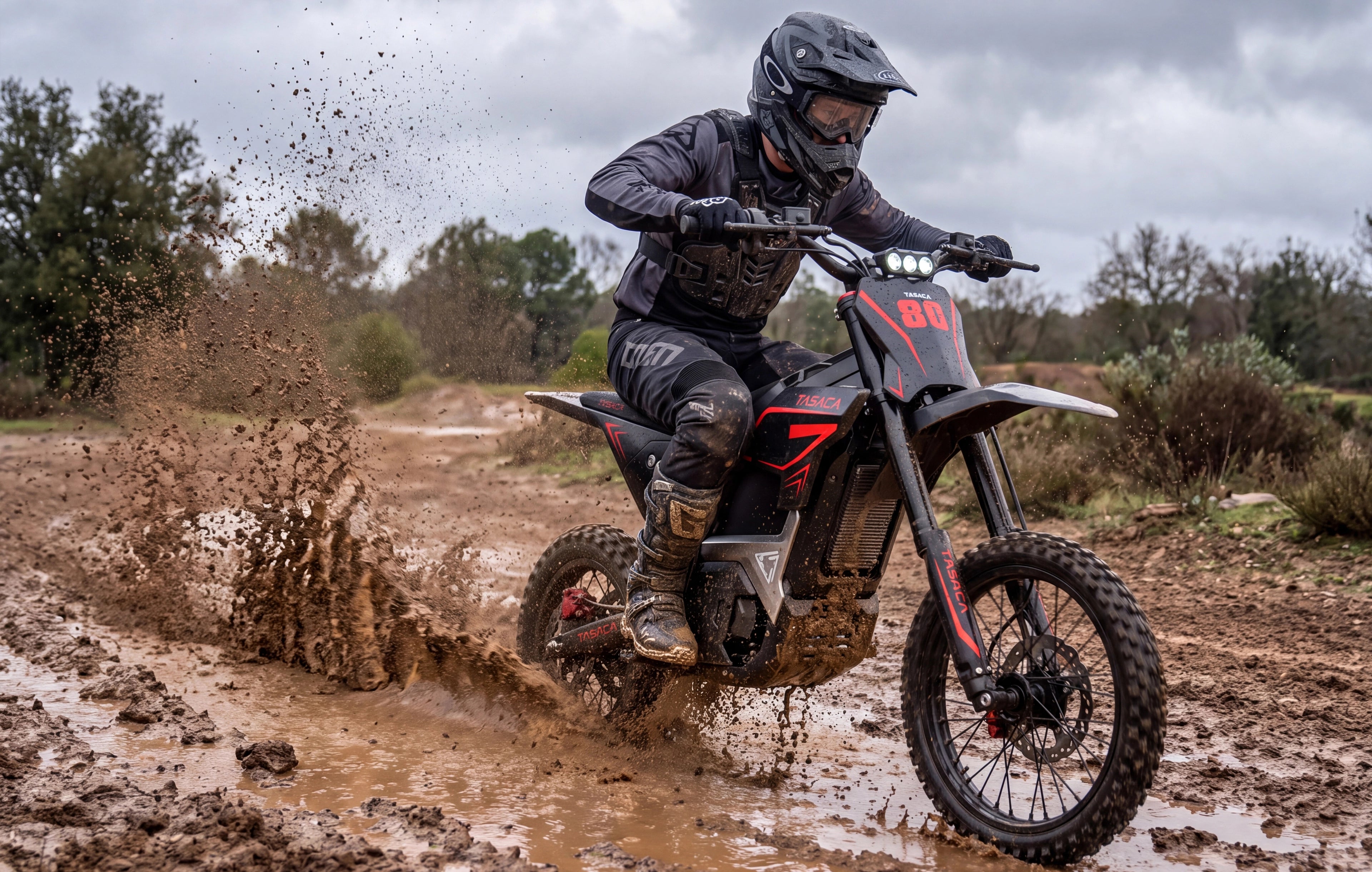 T500-V58 Electric Dirt Bike